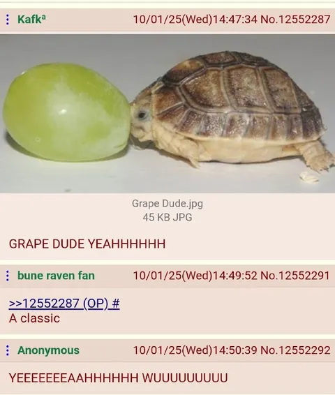 Grape Dude Turtle Reaction