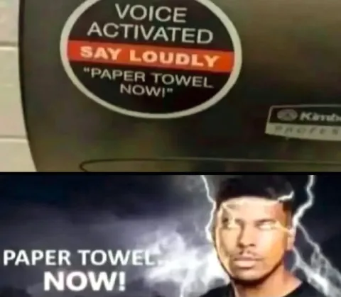 Paper Towel Now