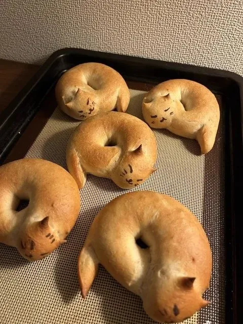 Кошки-бублики на противне