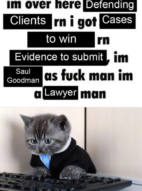 Saul Goodman Cat Lawyer