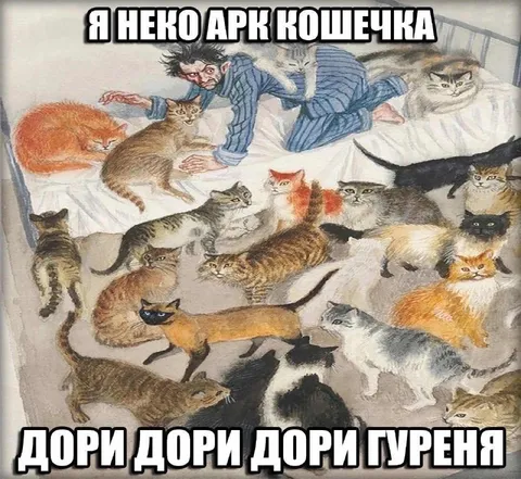 Я неко арк кошечка