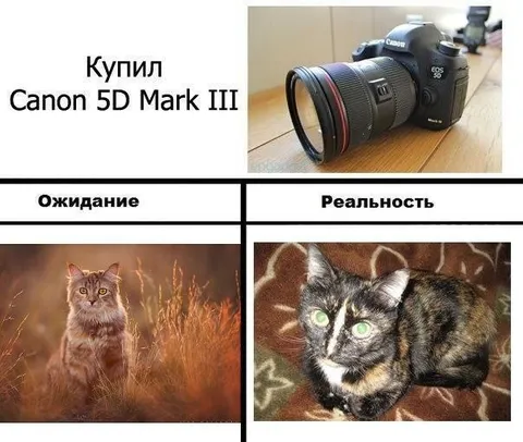 Купил Canon 5D Mark III