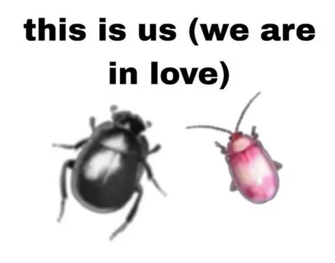 This Is Us in Love