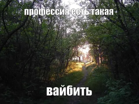 Профессия есть такая — вайбить