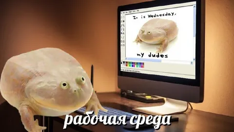 Рабочая среда, мои чуваки