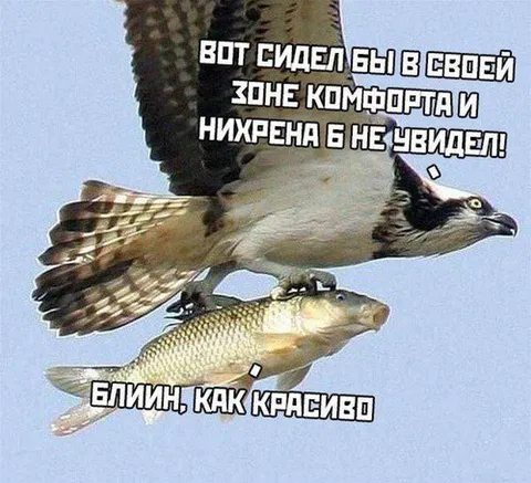 Сидел бы в зоне комфорта