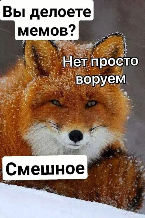 Лиса ворует смешное