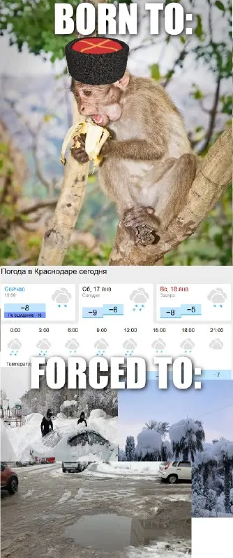 Born to Warm, Forced to Freeze