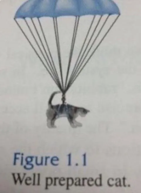 Well Prepared Cat Parachute