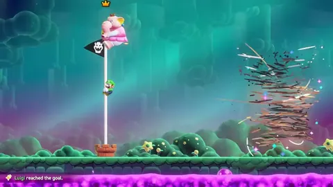 Luigi Reaches the Goal