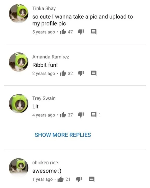 Cute Frog Profile Picture Comments