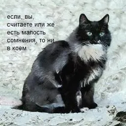 Если есть сомнения, то ни в коем