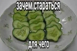 Зачем стараться для чего