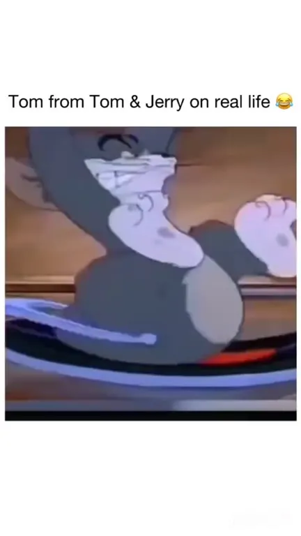Tom from Tom and Jerry in Real Life
