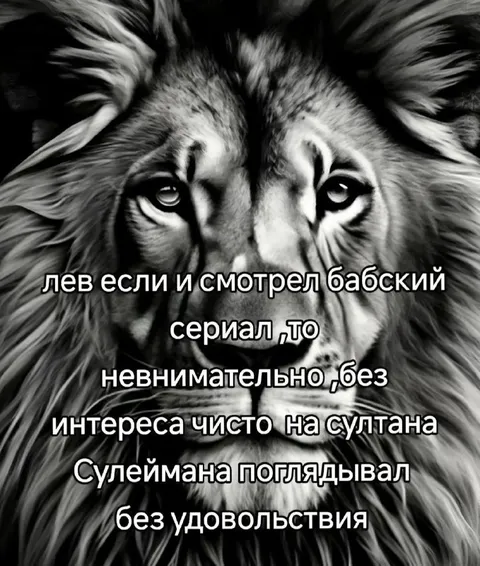 Лев смотрит бабский сериал