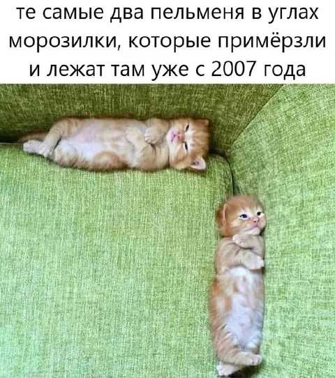 Два пельменя в морозилке