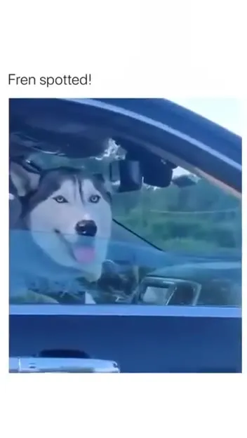 Fren Spotted Driving By