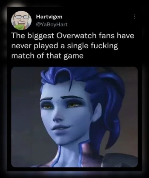 Overwatch Fans Never Play