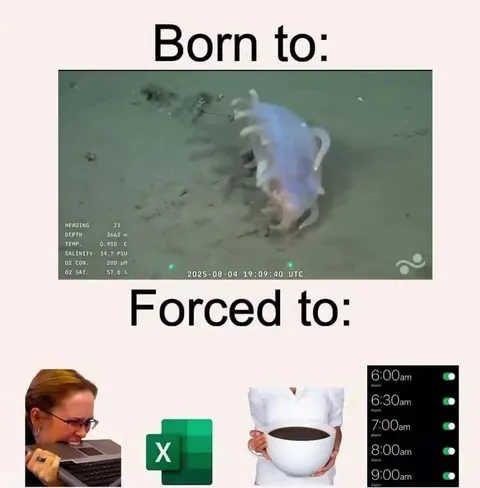Born to Explore, Forced to Work