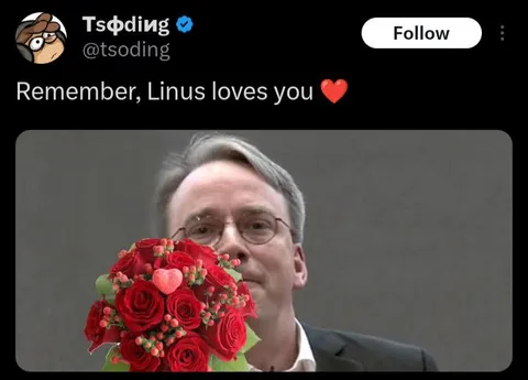 Linus Loves You