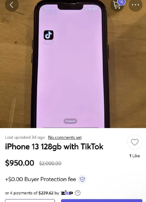 iPhone 13 with TikTok
