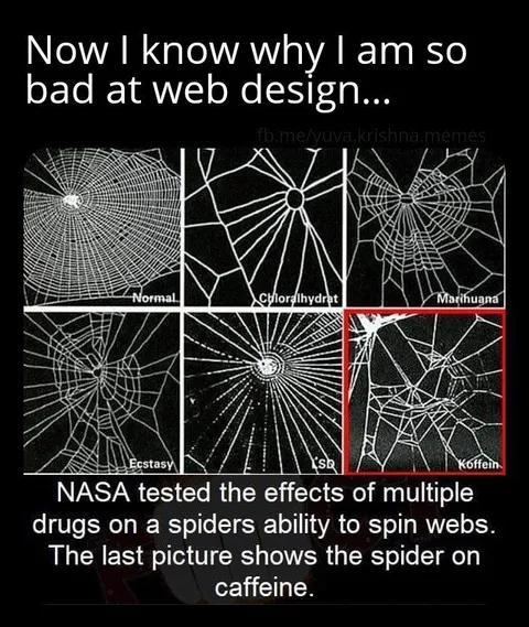 Caffeine Spider Web Design