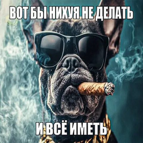 Нихуя не делать и всё иметь