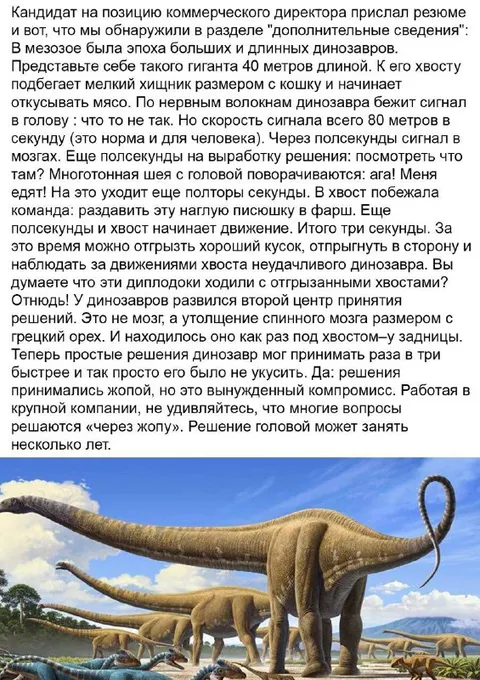 Динозавр с опозданием на решение
