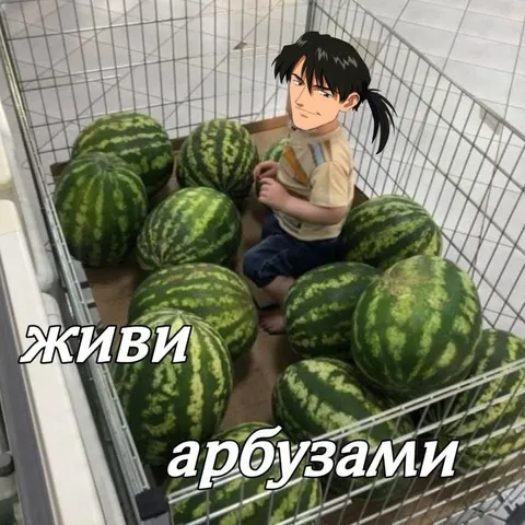 Живи арбузами