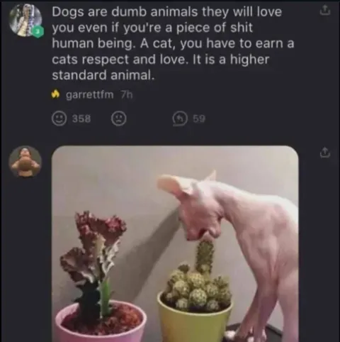 Cats Have Higher Standards
