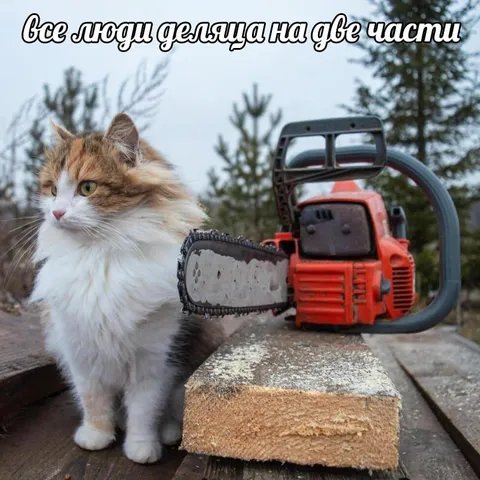 Все люди делятся на две части