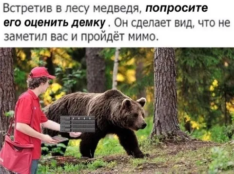Медведь оценивает демку