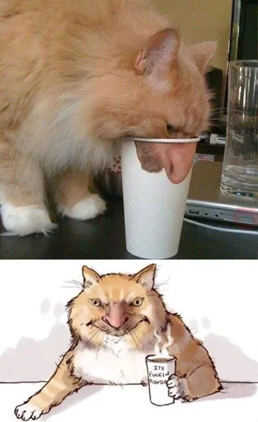 It's Fucking Monday Cat