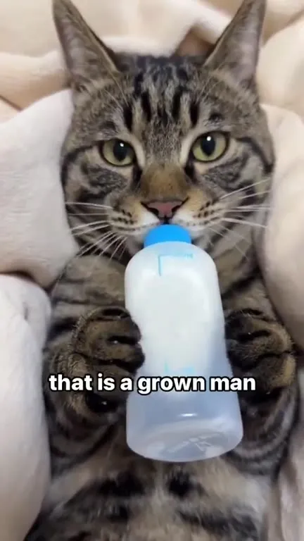 That Is a Grown Man