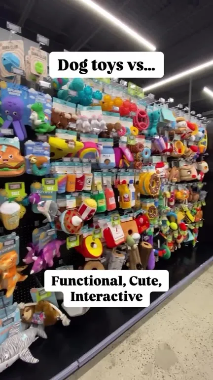 Dog Toys vs Cat D R * G S