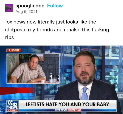 Fox News Looks Like Shitposts