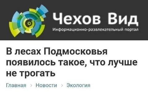 В лесах Подмосковья появилось такое