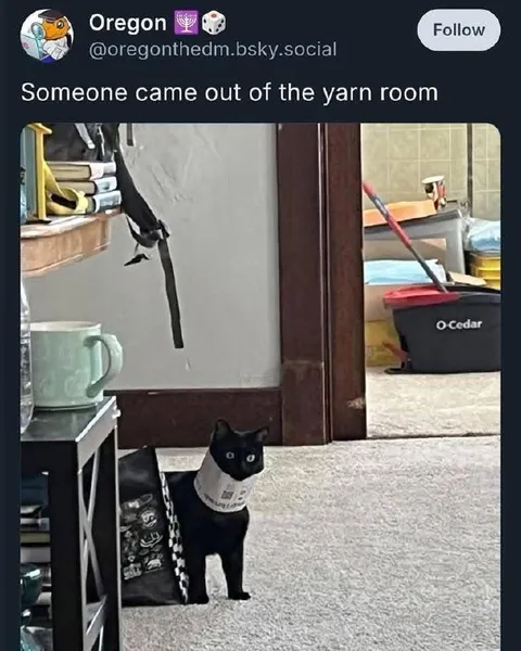 Someone Came Out of the Yarn Room