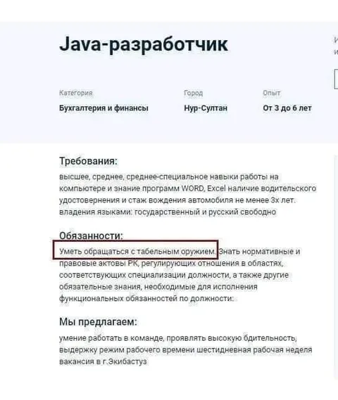 Java-разработчик с табельным оружием