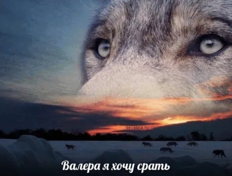 Валера, я хочу срать