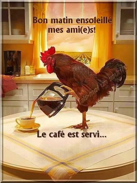 Le café est servi