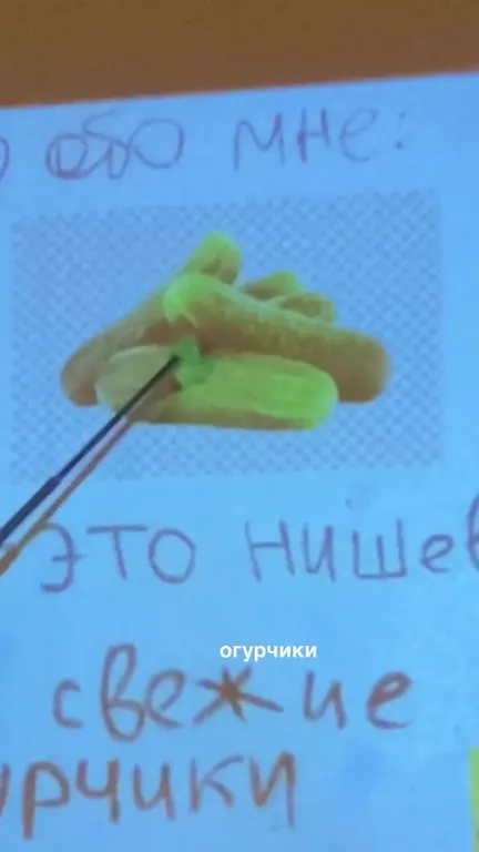 Почему меня надо позвать на шашлыки