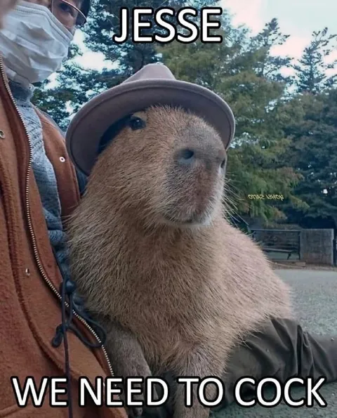 Jesse the Capybara