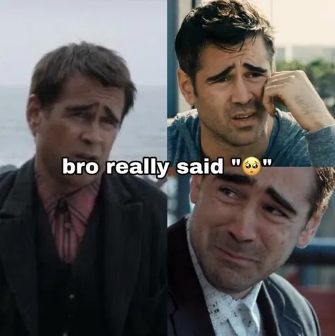 bro really said pleading face