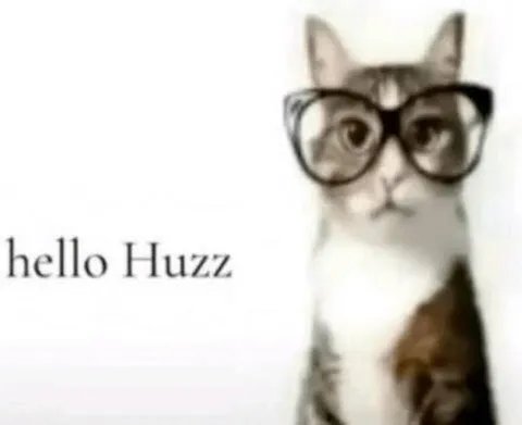 Hello Huzz Cat