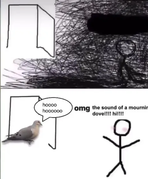 The Sound of a Morning Dove