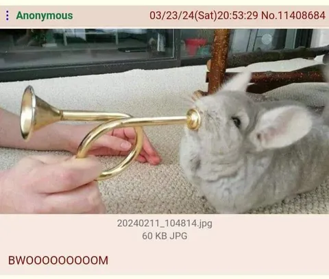Bunny Horn Serenade