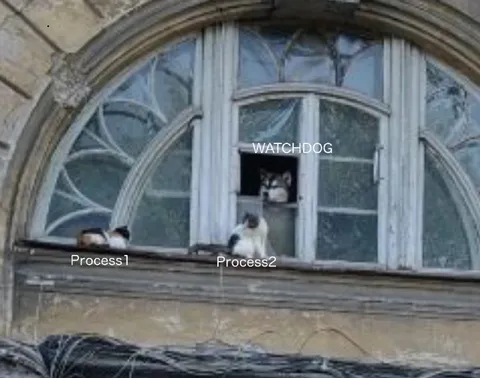 Watchdog Process Manager Cats