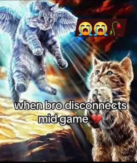 When Bro Disconnects Mid Game