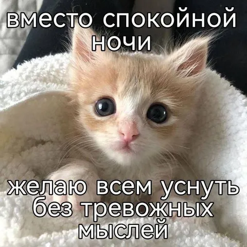 Спокойной ночи без тревожных мыслей